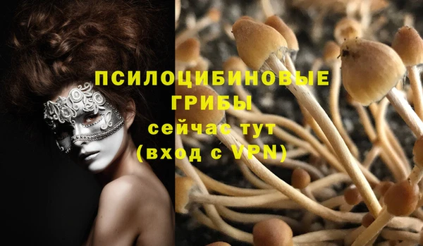 MESCALINE Аркадак